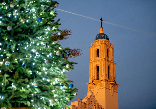 Tree Lighting with Immaculata