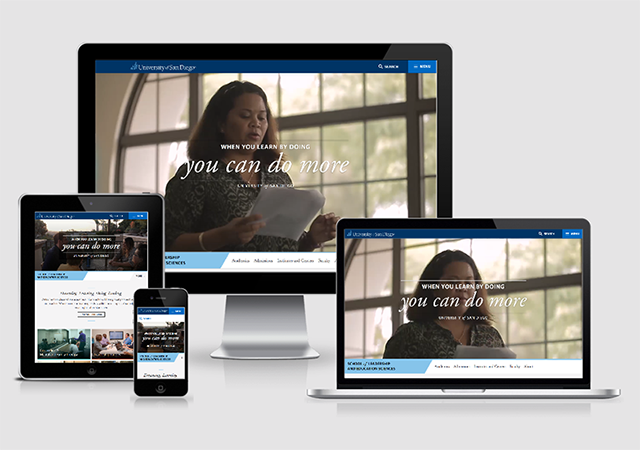 New Website Viewports