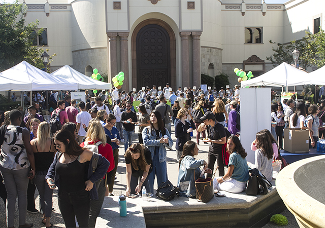 Avocado Festival