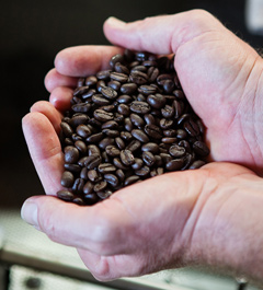 Coffee Beans