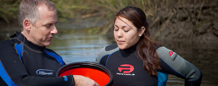 Yajaira Nunez