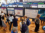 Creative Collaborations presentations represent research, internships and artwork of undergraduates with the guidance of their faculty advisors. 