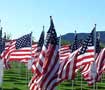 Veterans Clinic