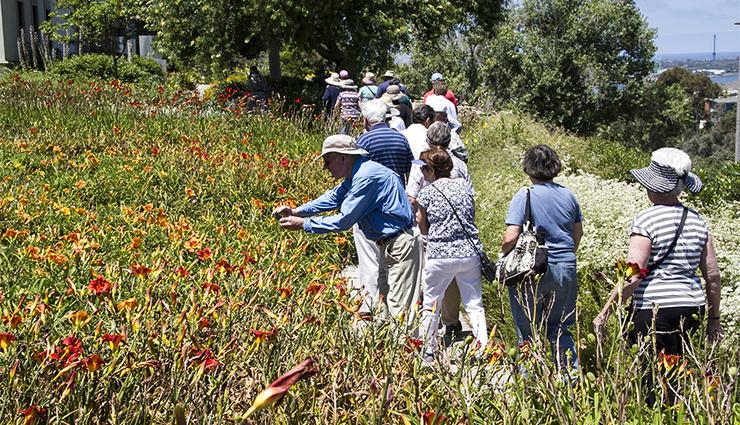 A garden tour of the University of San Diego campus will be one of the many activities for the winter session University of the Third Age participants.