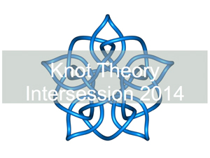 knot theory