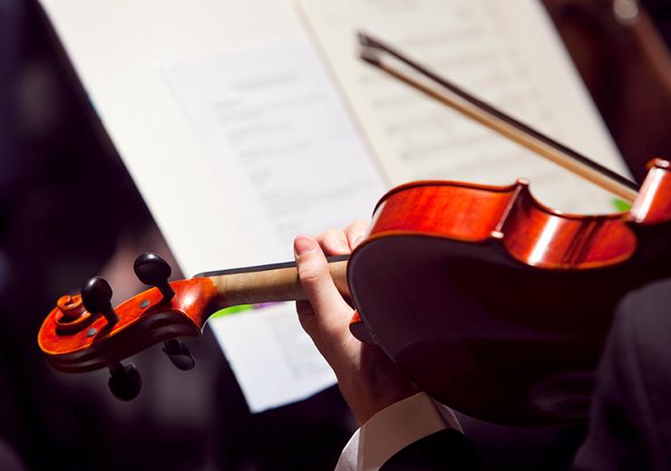 Violin