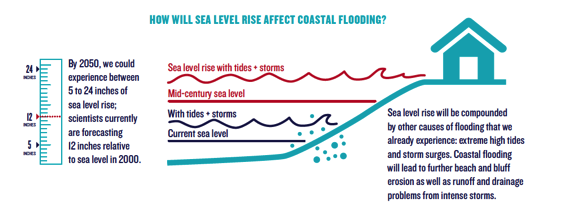 Coastal Flooding Infographic
