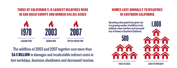 Wildfire Infographic