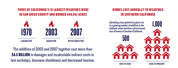 Wildfires Infographic