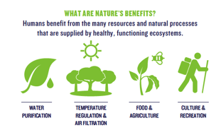 Nature's Benefits Infographic
