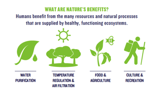 Nature's Benefits - Climate Education Partners