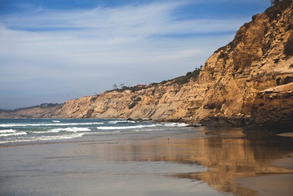 Picture of Torrey Pines State Beach
