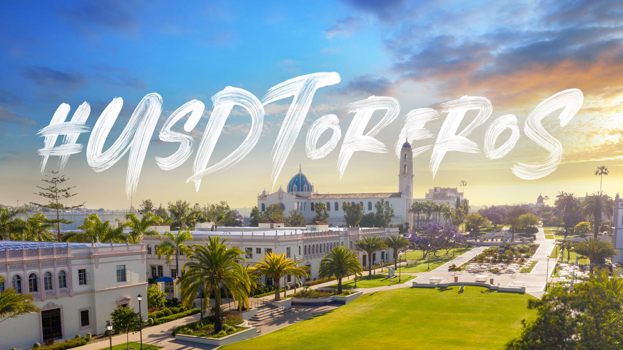 Experience USD