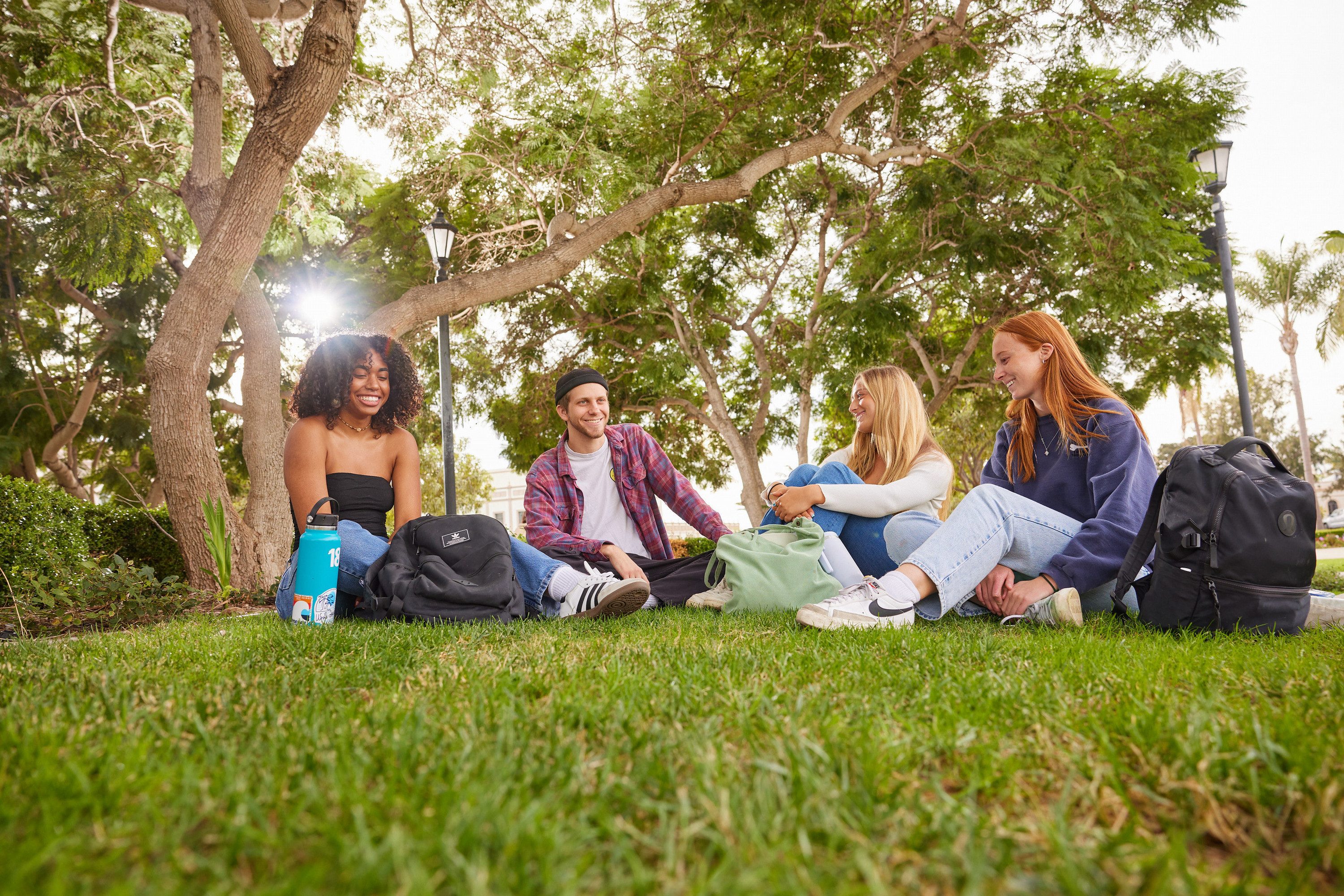 group of students on front lawn sitting around in a circle