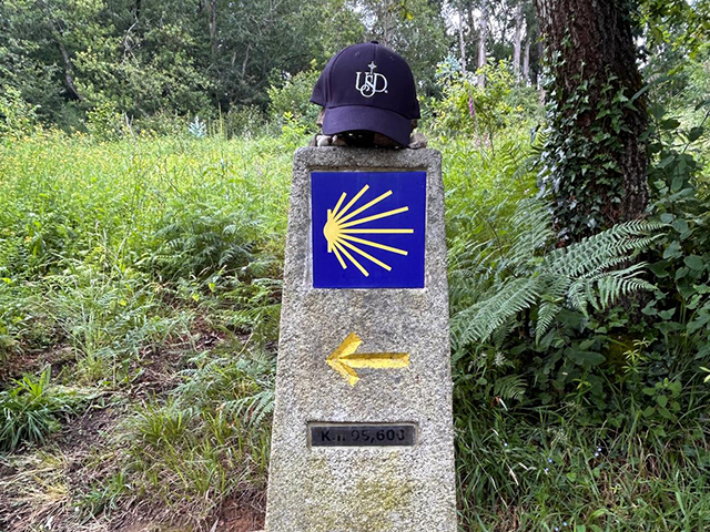 A milestone on the camino de santiago