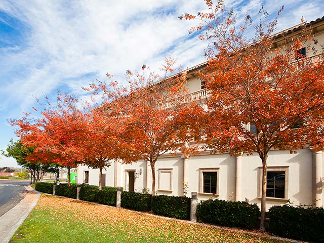 Exterior of Degheri Alumni Center