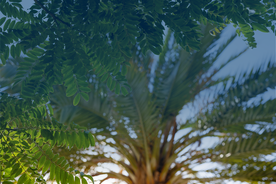 Background image for container