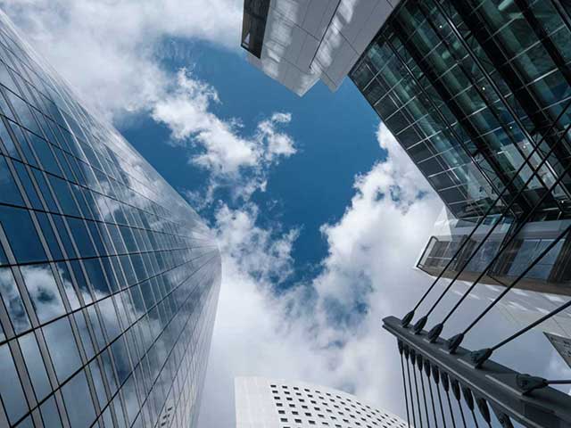 Looking up at the sky