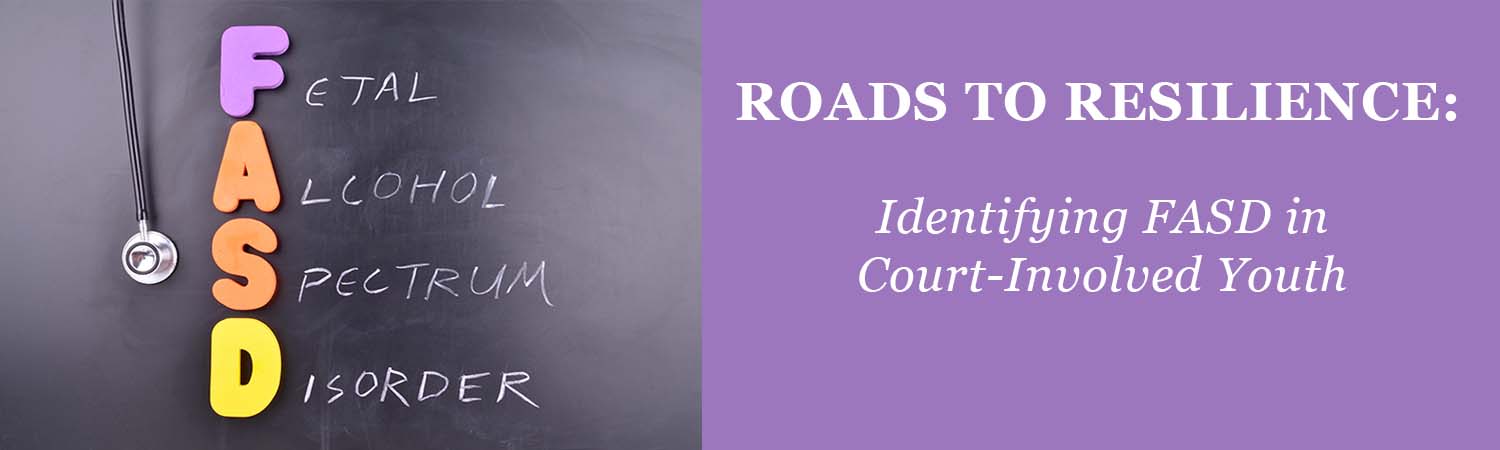 Roads to Resilience banner