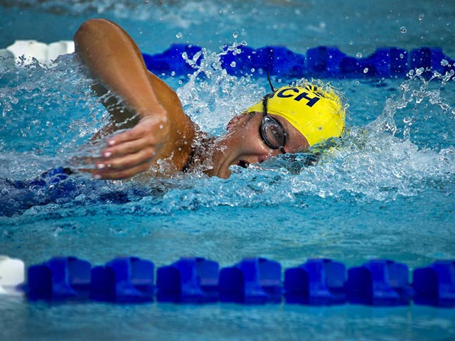 A swimmer in the pool