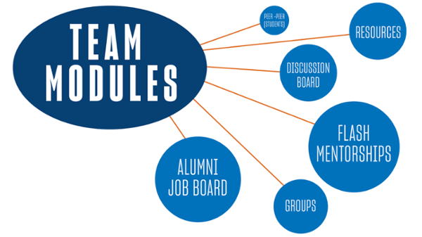 TEAM Modules