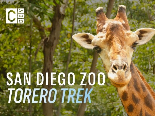 San Diego Zoo Torero Trek
