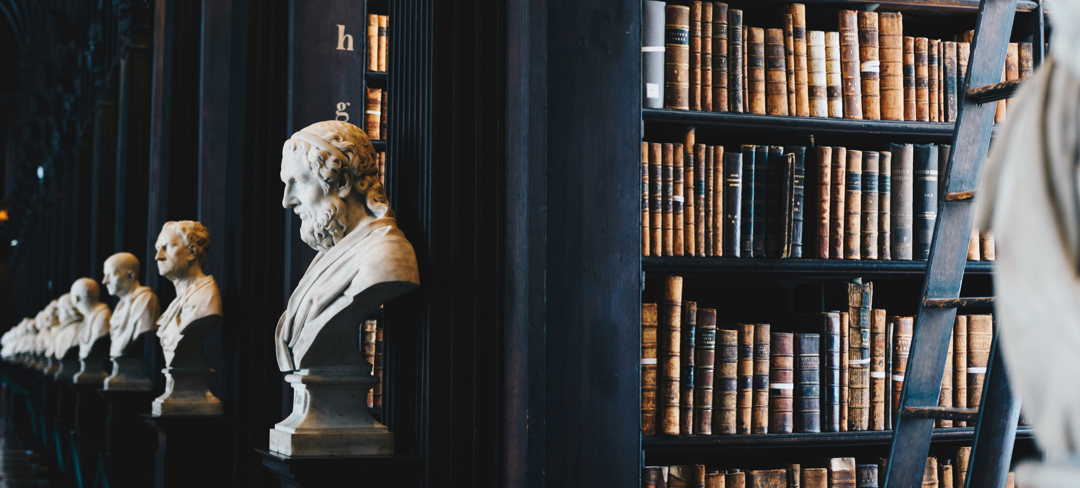 A picture of statue busts and books in the library