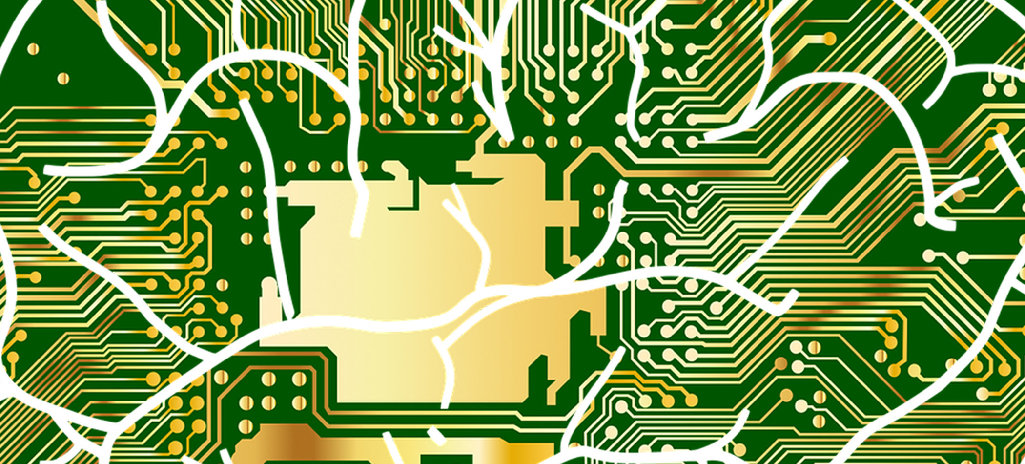 Psychology College of Arts and Sciences University of San Diego