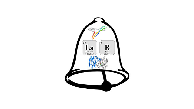 A picture of a bell curve.