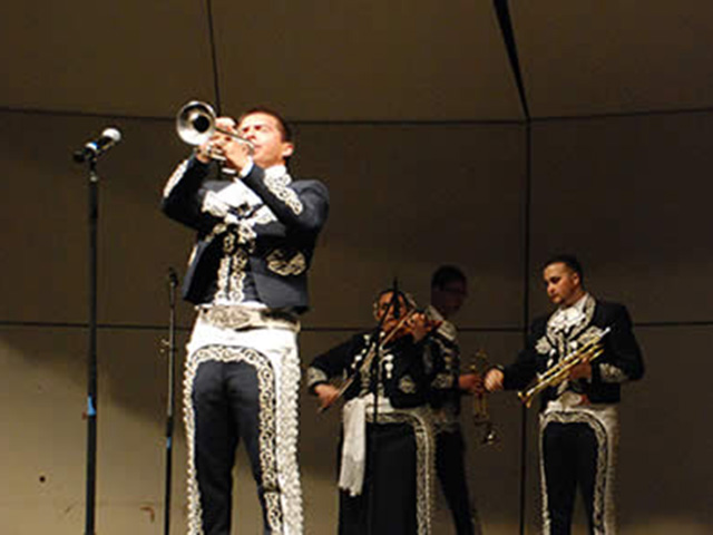 Mariachi Band Instruments