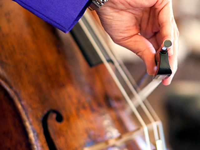 USD Strings