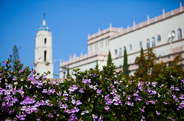 Photograph of USD's Maher Hall with the Immaculata in the background. 