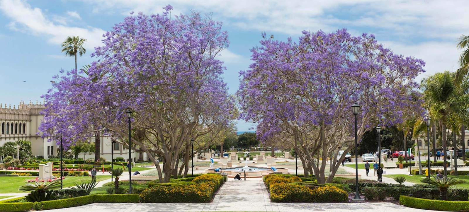 The Colachis Plaza area on the USD campus
