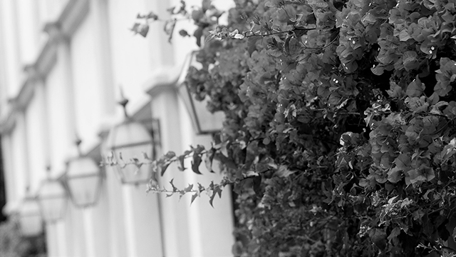 An architectural shot of campus