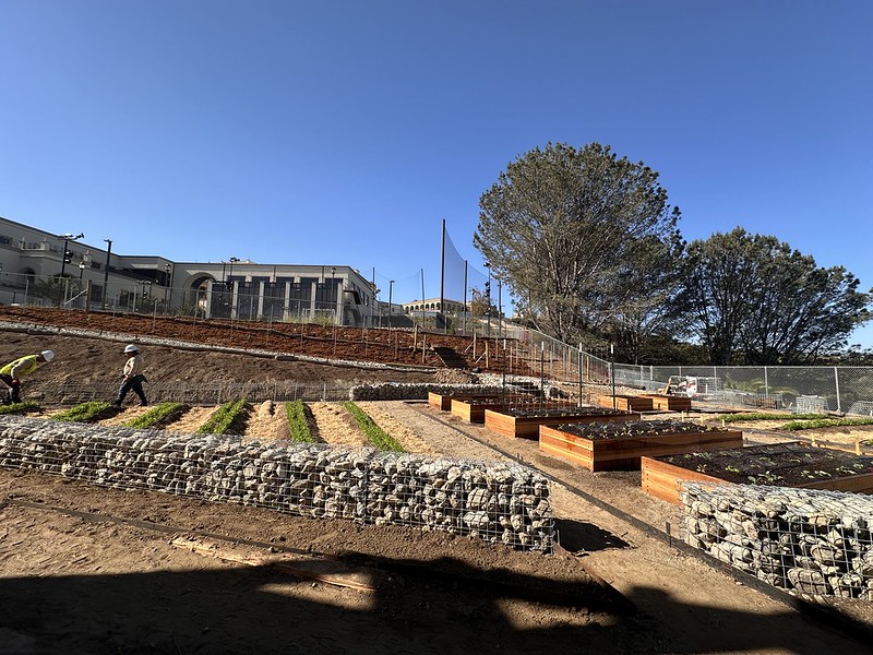 the Garden area in construction