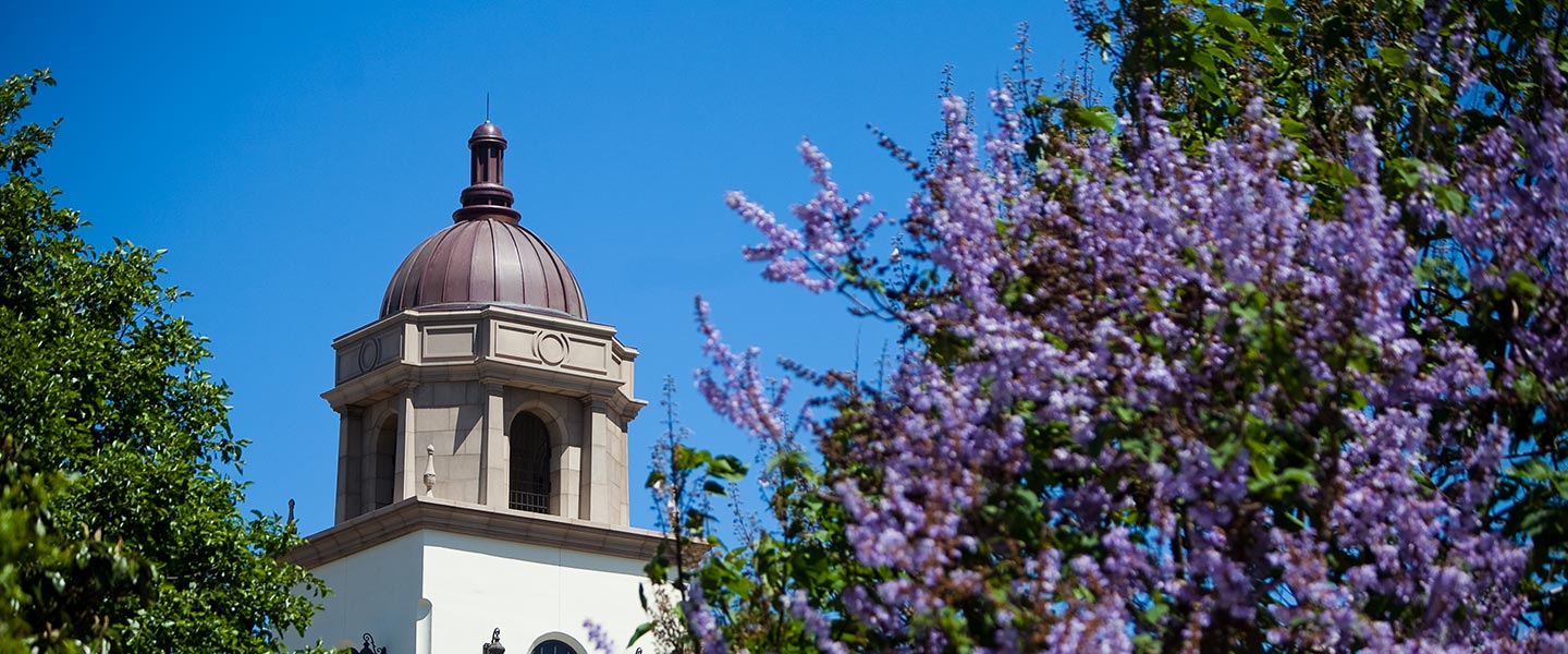 Background image for USD Biennial Review