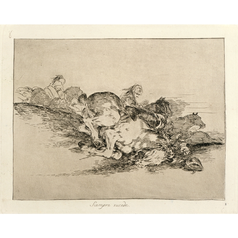 goya disasters