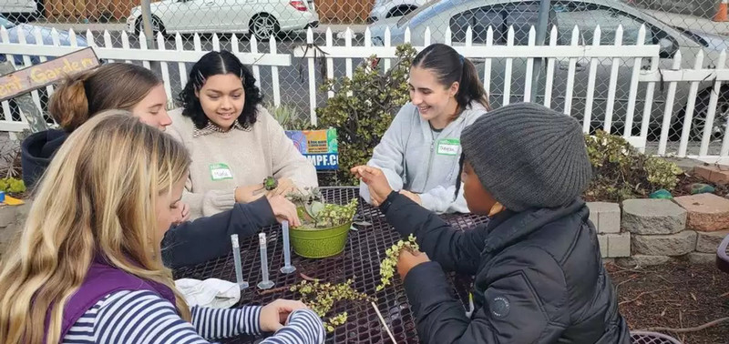Students working with plants.
