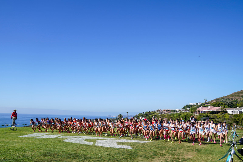 USD women's cross-country team starting to run