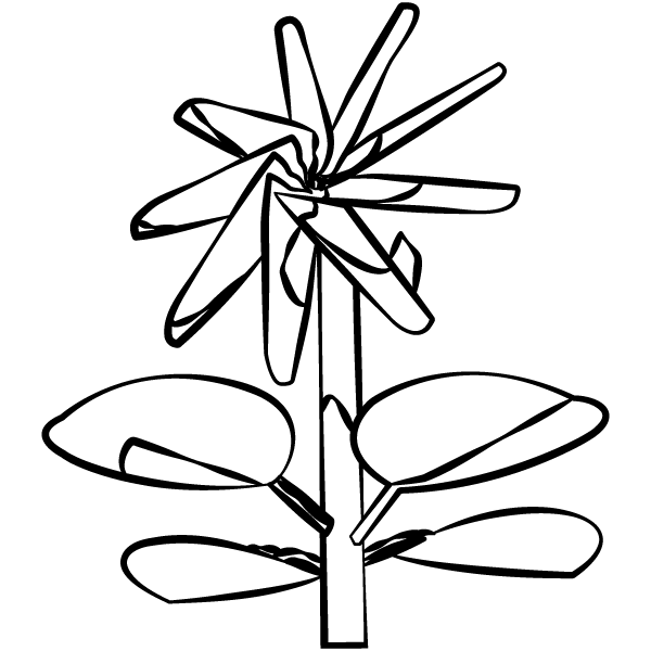 TEC - Sustainability