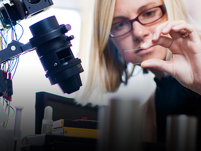 A USD professor works in the lab