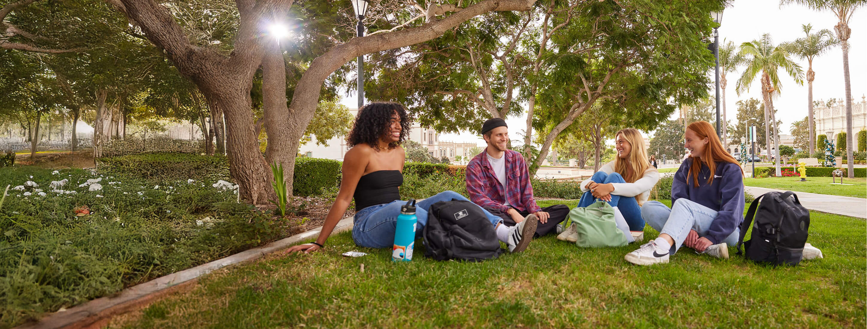 Four college students sitting on the grass under large trees, talking and smiling on a sunny campus lawn.