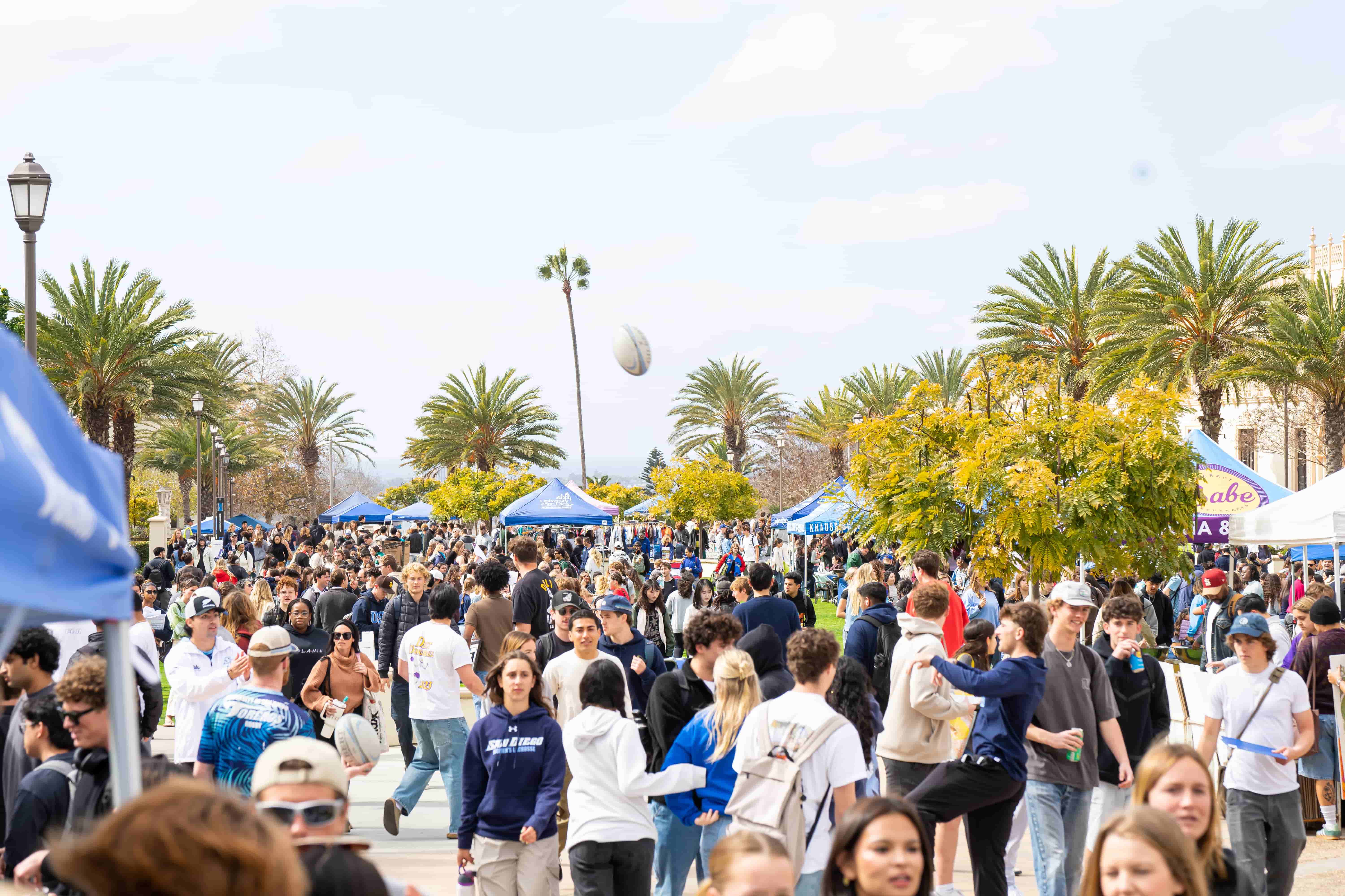 Background image for Alcalá Bazaar