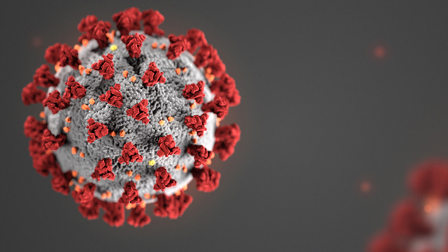 Image depiction of coronavirus molecule