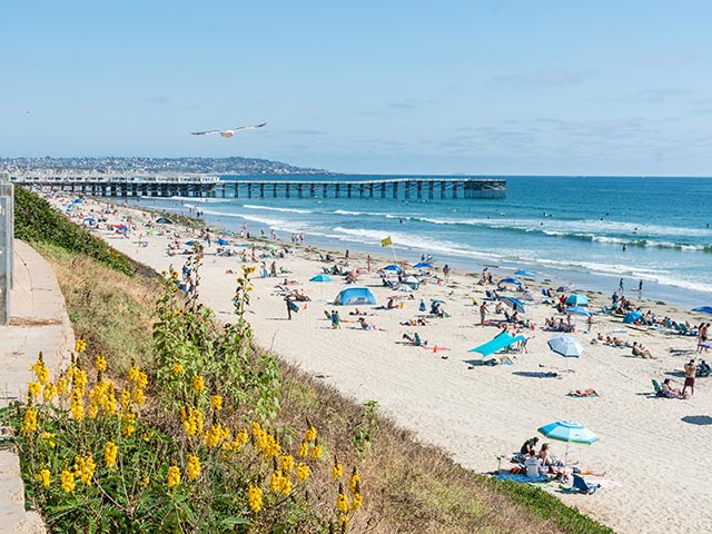 A beach view in San Diego