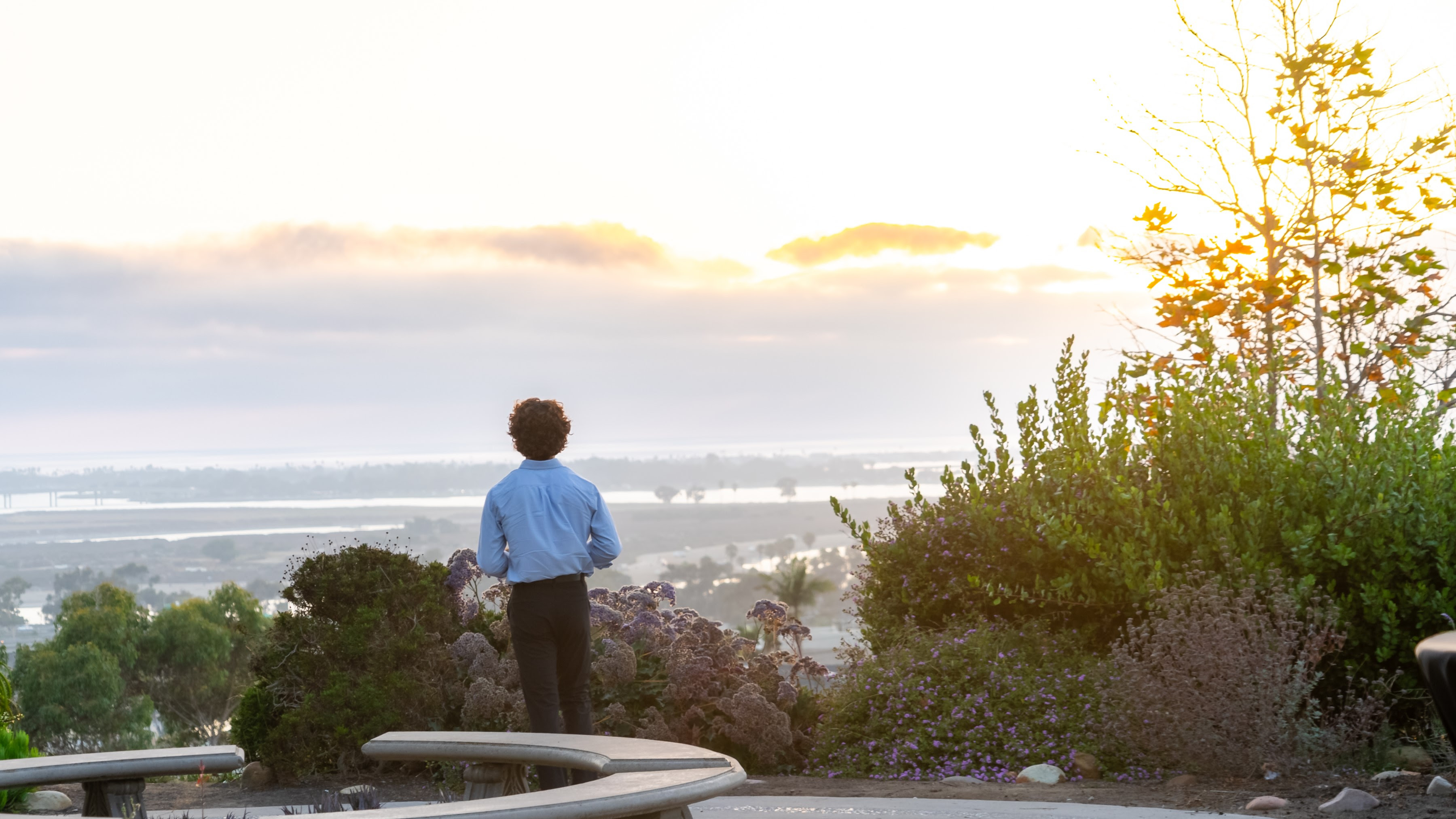 image of a student overlooking campus area