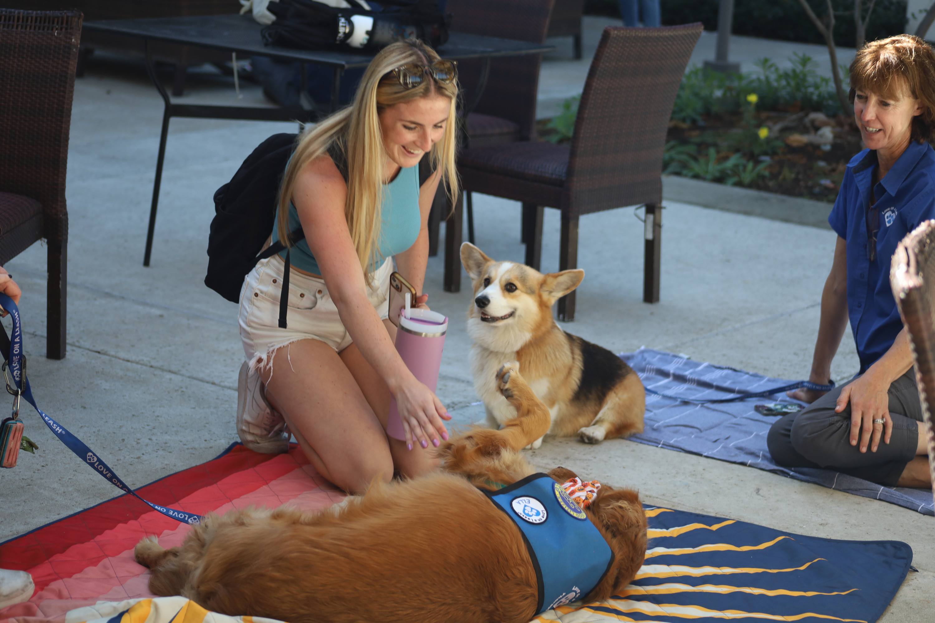 picture of a person petting a dog at our Donuts. and Dogs event