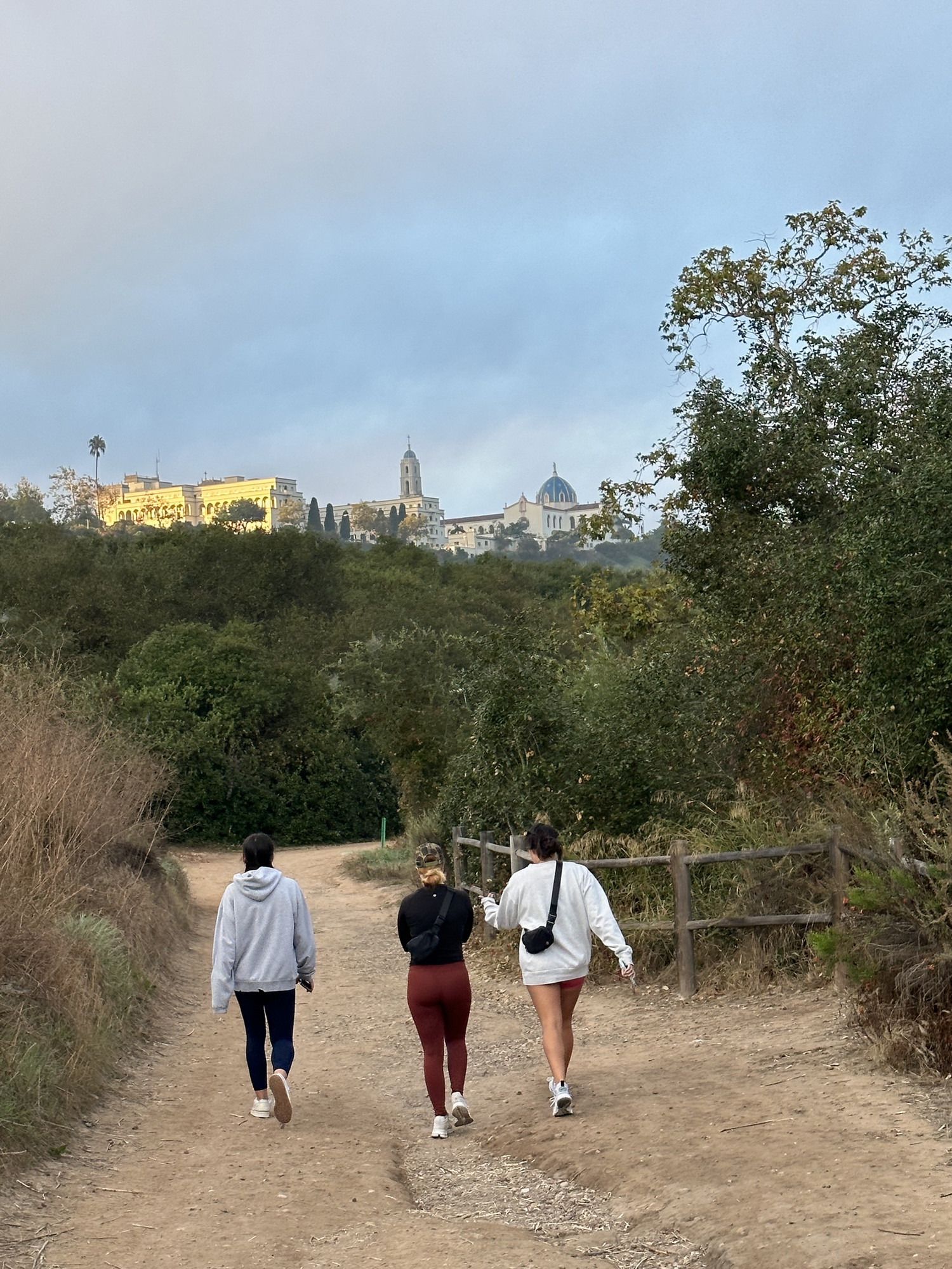 Picture of transfer students on a hike behind USD