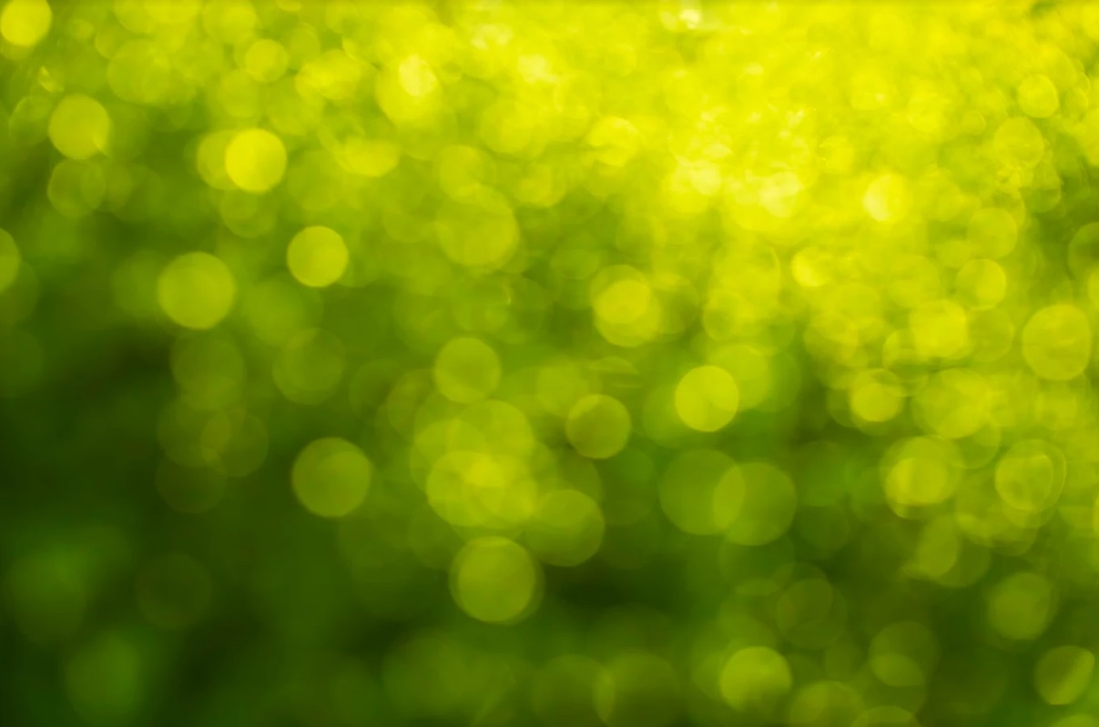 image of green, inspiring nature shots