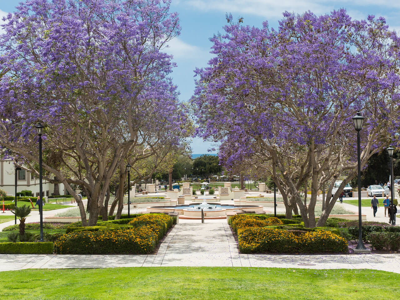 USD campus